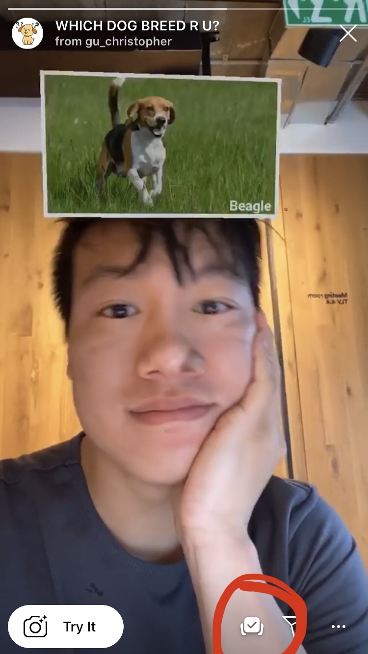 How to Get The Which Dog Breed Are You Instagram Filter