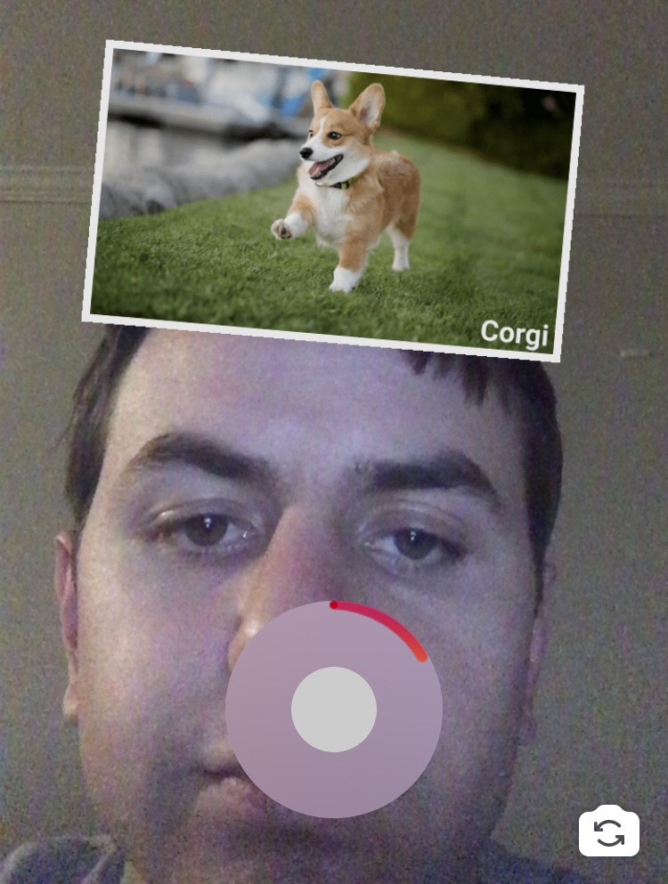 How to Get The Which Dog Breed Are You Instagram Filter