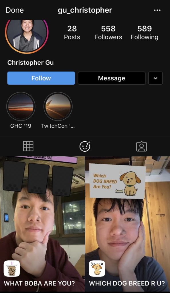 How to Get The Which Dog Breed Are You Instagram Filter